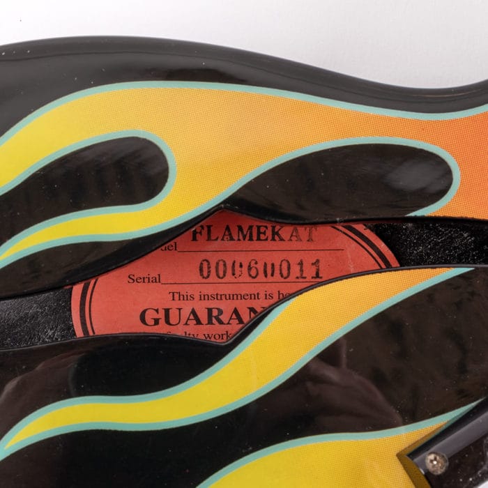 Epiphone FlameKat Limited Edition – Bild 10