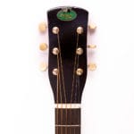 Regal Orchestra – Bild 9