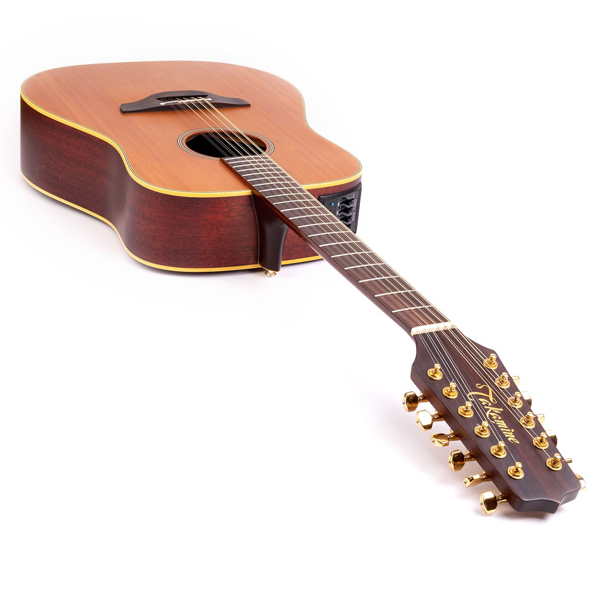 Takamine deals 12 saitig