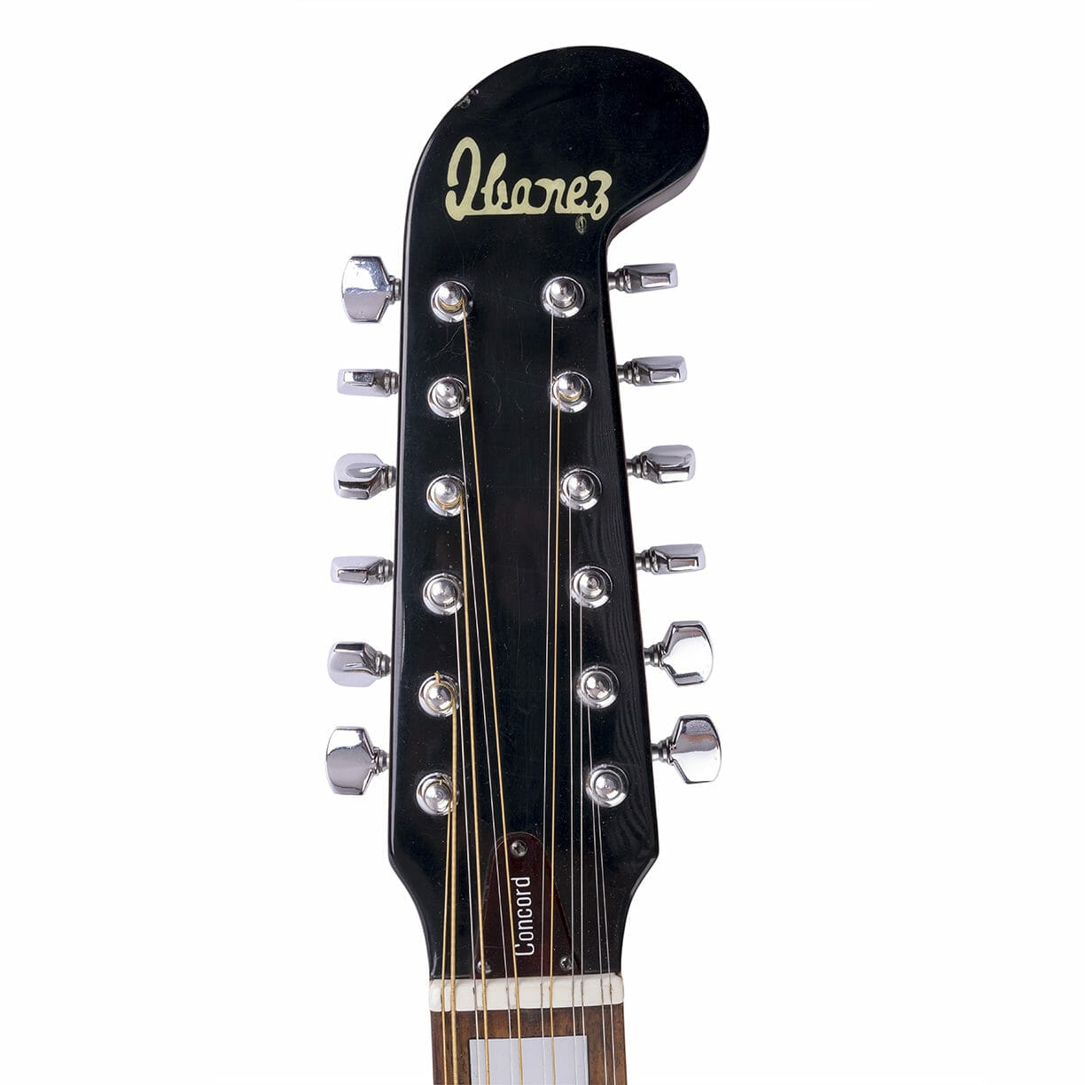 Ibanez outlets 12saitige Gitarre Concord