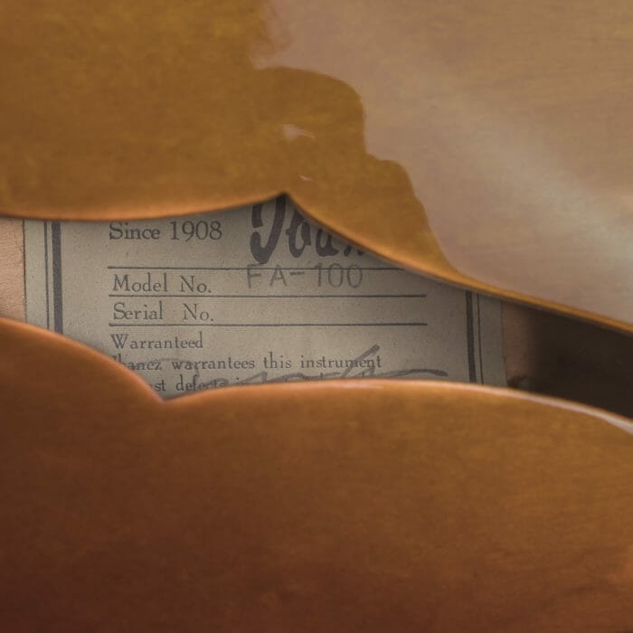 Ibanez FA100 – Bild 10