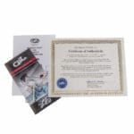 G&L Fallout VTW MP build to order – Bild 12