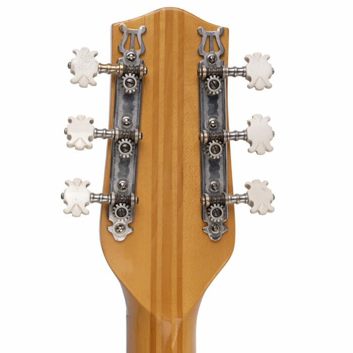 Alosa Solist / Gustav Glassl – Bild 12