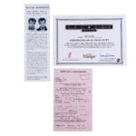 Joe Doe by Vintage ~ JDV24 HOT ROD California Sunset Burst – Bild 13