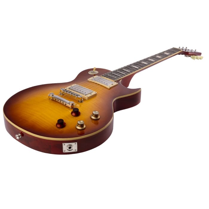 Vintage Reissued V100PGM – Bild 4