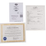 G&L CLF Research Espada, NAT, MP – Bild 12