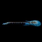 Surikata Luthiery Masterbuilt - Sagittarius 6 String – Bild 14