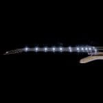 Surikata Luthiery Masterbuilt -Taurus 5 String Bass – Bild 13