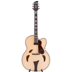 Archtop Gitarre