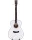Gitarren online Shop -